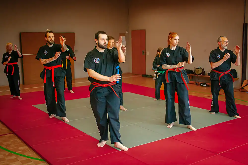 Fünf Personen in schwarzer Kampfkunstbekleidung üben Hapkido auf einer Matte mit roten Rändern. Einige tragen farbige Gürtel (rot, grün, blau, gelb) und führen verschiedene Bewegungen und Positionen aus.